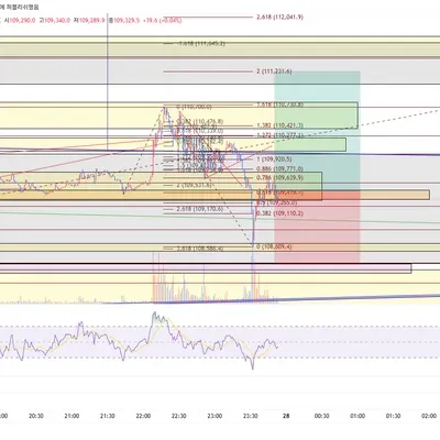 100회 트레이딩 75