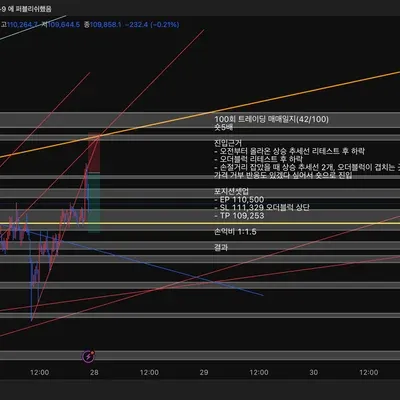 100회 트레이딩 매매일지(42/100)