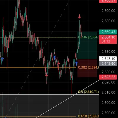 100회 트레이딩 챌린지 (39/100)