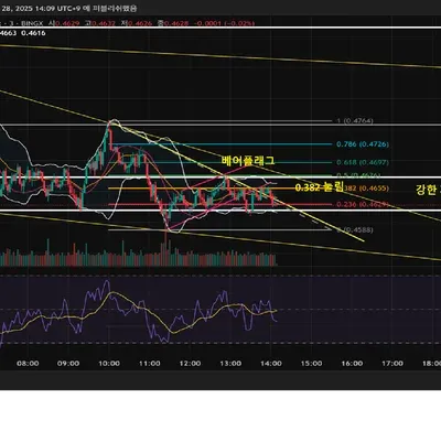 26기 매일 10~20% 성과 3승하기