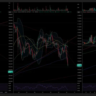 [30일 챌린지 6기 1주차]트뷰세팅
