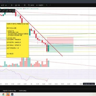 100회 트레이딩 매매일지(10/100)