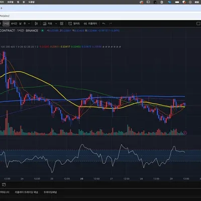 [30일 챌린지 6기 1주차] 쑹봉 트레이딩뷰 셋업 인증