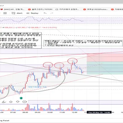 25기 100회 매매일지