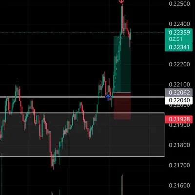 100회 트레이딩 챌린지 (42/100)