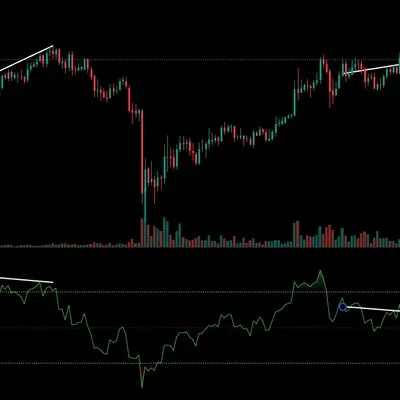 [30일 챌린지 5기 2주차] rsi 다이버전스 구간 체크 