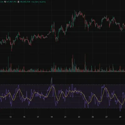 30일 챌린지 29기 2주차