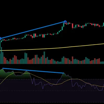 [30일 챌린지 5기 2주차]