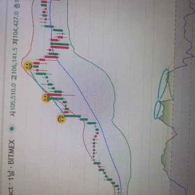 5기 2주차 다이버전스