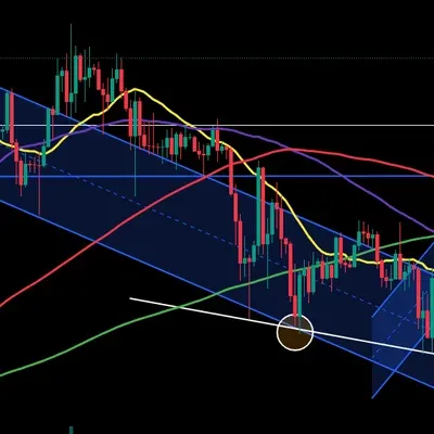 11일차 다이버전스 구간