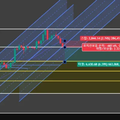 [30일 챌린지 6기 1주차] 독도파워