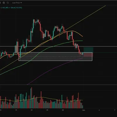 100회 트레이딩(5/100)