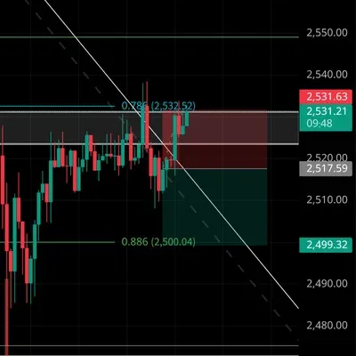100회 트레이딩 챌린지 (49/100)