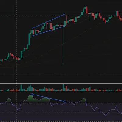 [30일 챌린지 5기 2주차] 다이버전스
