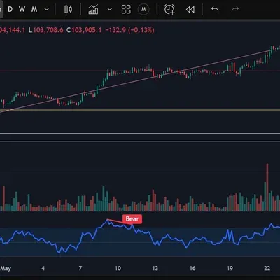 [30일 챌린지 5기 2주차] RSI 다이버전스