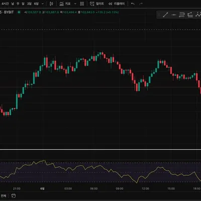 [30일 챌린지 29기 2주차] 트레이딩뷰에 RSI 지표 추가하기