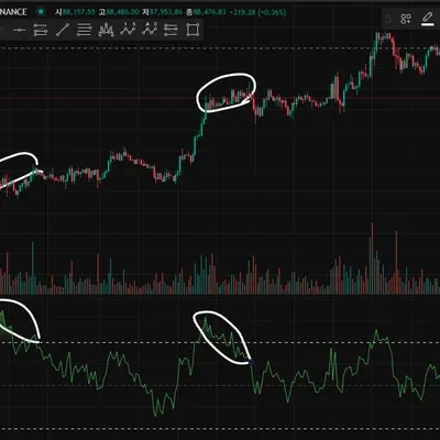 [30일 챌린지 5기 2주차]