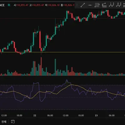 [30일 챌린지 29기 2주차]