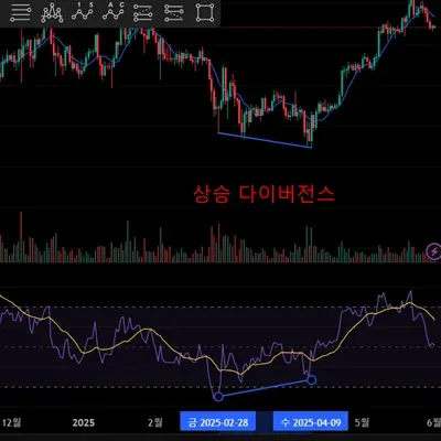 [30일 챌린지 5기 2주차] 다이버전스 찾기