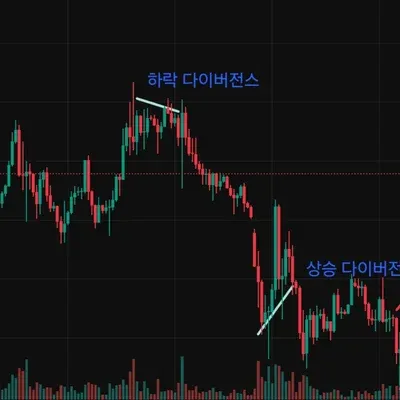 30일 챌린지 5기 2주차