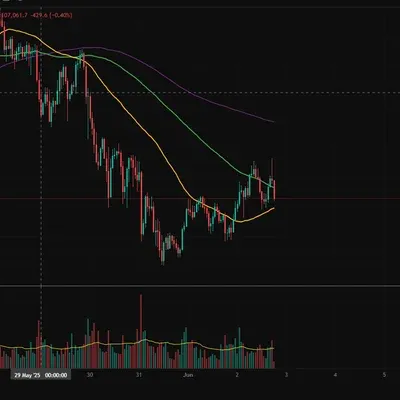 100회 트레이딩(6/100)