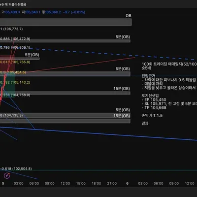 100회 트레이딩 매매일지(52/100)