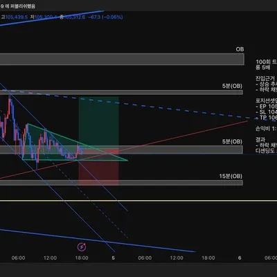 100회 트레이딩 매매일지(50/100)