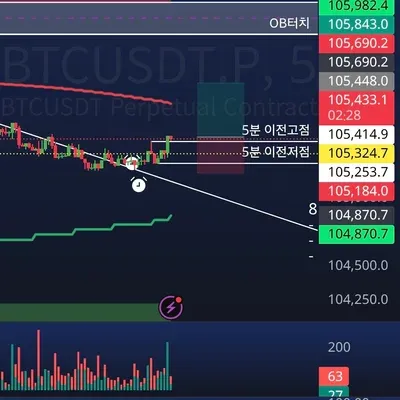 100회 트레이딩 30회차