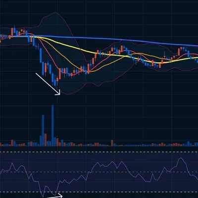 [30일 챌린지 6기 2주차] 다이버전스