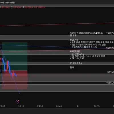 100회 트레이딩 매매일지(54/100)