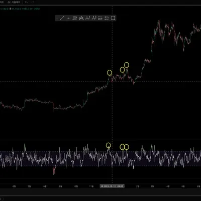 [30일 챌린지 6기 2주차]다이버젼스