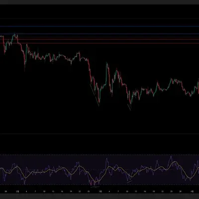 [30일 챌린지 6기 2주차]다이버젼스