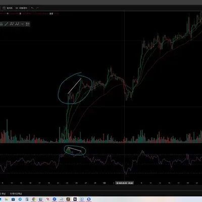 30일 챌린지 6기 다이버전스