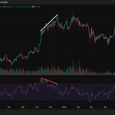 30일 첼린지 6기_다이버전스