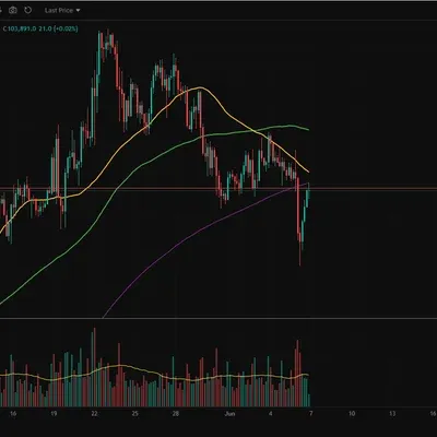 100회 트레이딩(8/100) 뇌동매매하고싶어서 진입함.