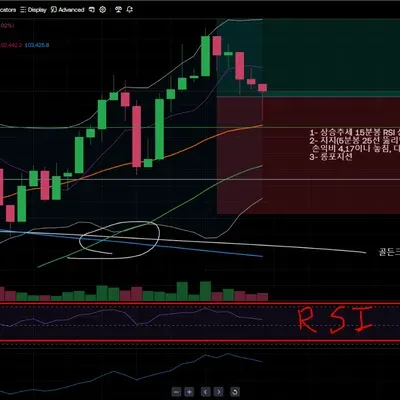 [30일 챌린지 30기 2주차] RSI 지표 추가 캡처본