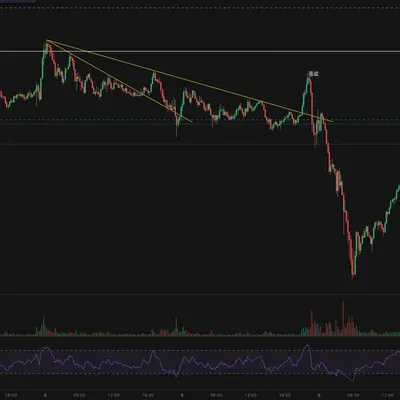 [30일 챌린지 28기 4주차] 