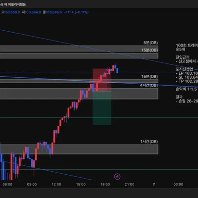 100회 트레이딩 매매일지(55/100)