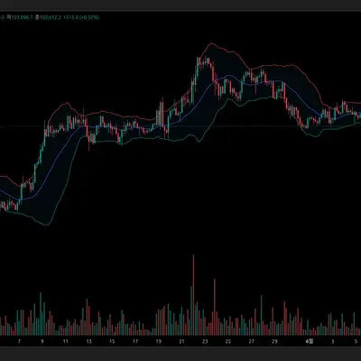 30일 챌린지 7기 1주차