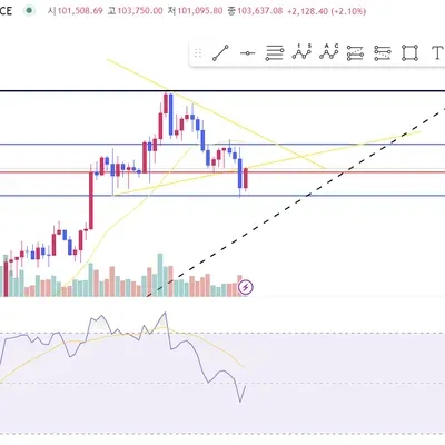[30일 챌린지 30기 2주차]