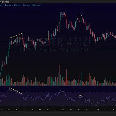 [30일 챌린지 6기 2주차 ] 다이버전스