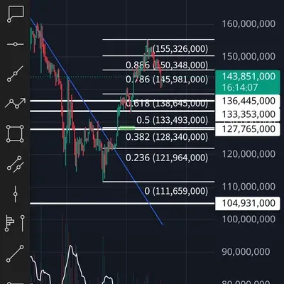 30일 챌린지 7기 