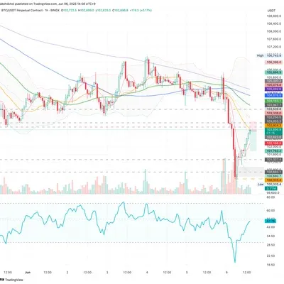 100회 트레이딩 챌린지 (25/100)