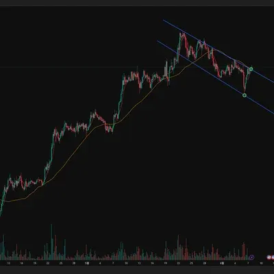 [30일 챌린지 7기 1주차] 