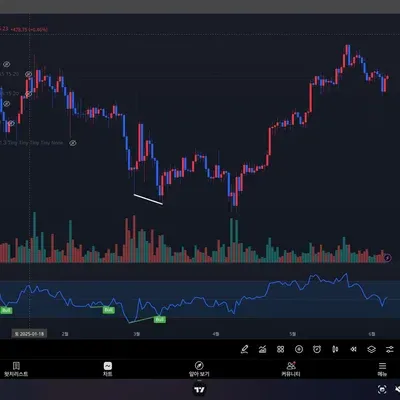 [30일 챌린지 6기 2주차] 11일차 미션 : RSI 다이버전스