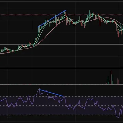 [30일챌린지 6기 2주] 다이버전스