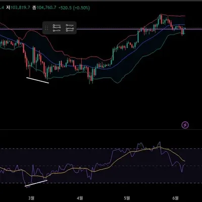 [30일 챌린지 6기 2주차]다이버전스