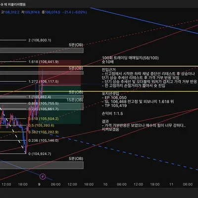 100회 트레이딩 매매일지(58/100)