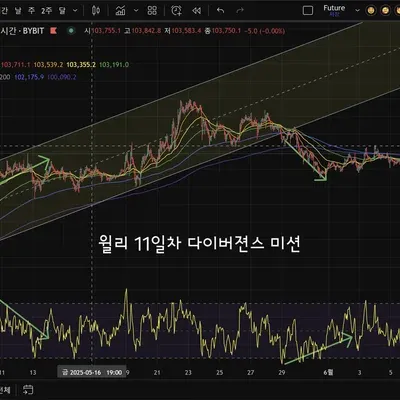 30일  챌린지  6기  11일차  미션  다이버전스를  찾아라