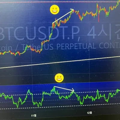 11차미션 다이버전스
